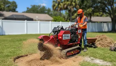 Professional stump grinding service removing tree stumps in Thonotosassa, FL near Brandon tree experts